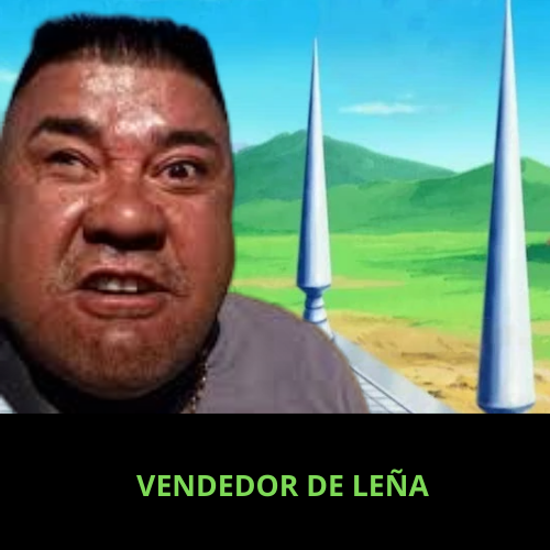 vendedordelena